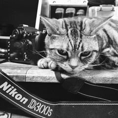 カメラは渡さないニャ〜〜（≧∇≦）