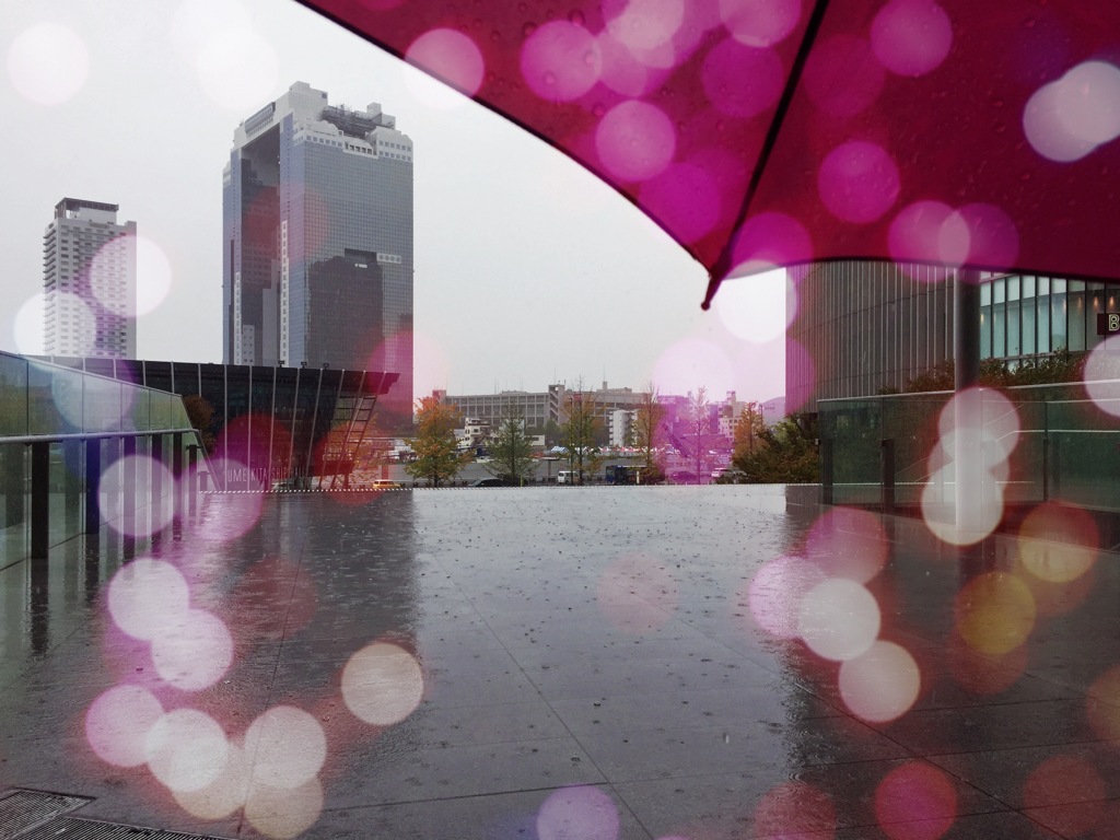雨もイイぜ=(^.^)=