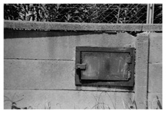 Kodak 白黒135 T-MAX