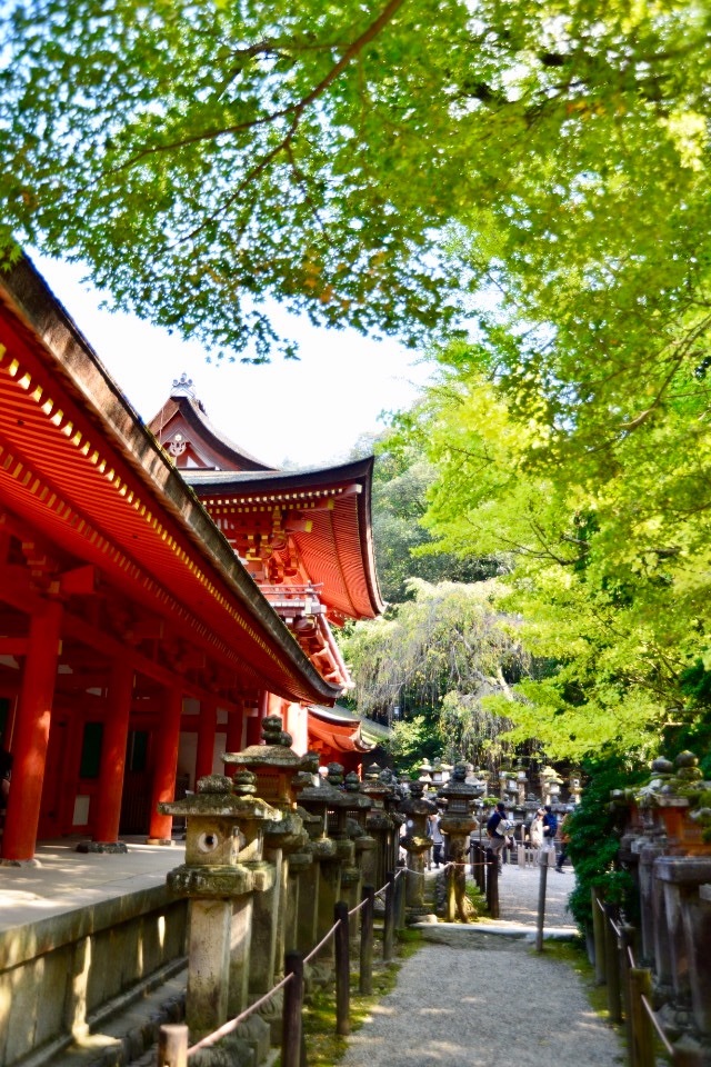 春日大社〜