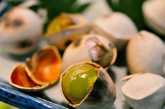 銀杏いかがですか〜〜=(^.^)=