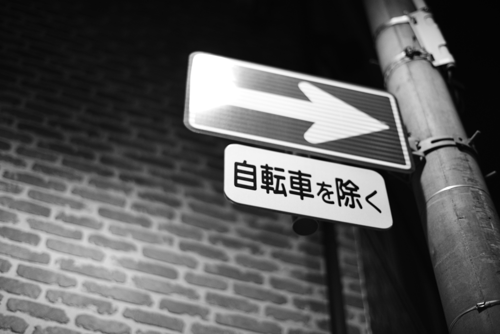 プラナーお試し4