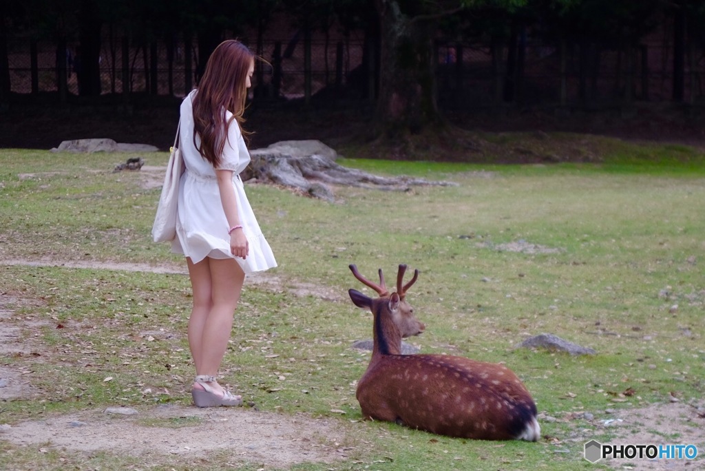 お散歩ですから〜〜（＾Ｏ＾）