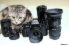 レンズ全て8000以下！コスパ最高だ。