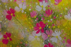 今度本物を撮りに行こう〜〜秋桜