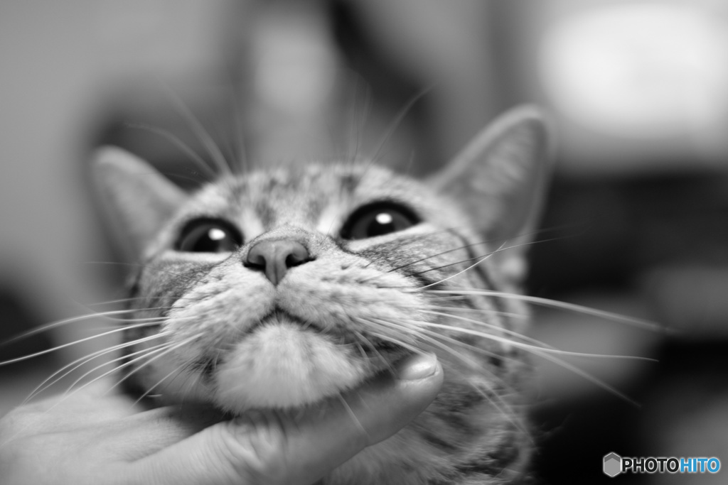 いちゃいちゃタイム(^-^)