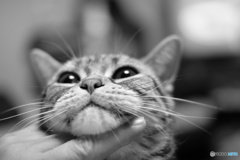 いちゃいちゃタイム(^-^)