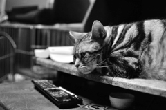 カメラ触ってるとチョットすね気味(^｡^)