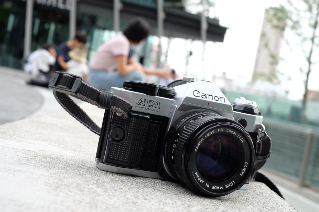 なんか簡単にシャッター切れないです(ToT)