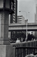 中之島のなんとか言う橋=(^.^)=
