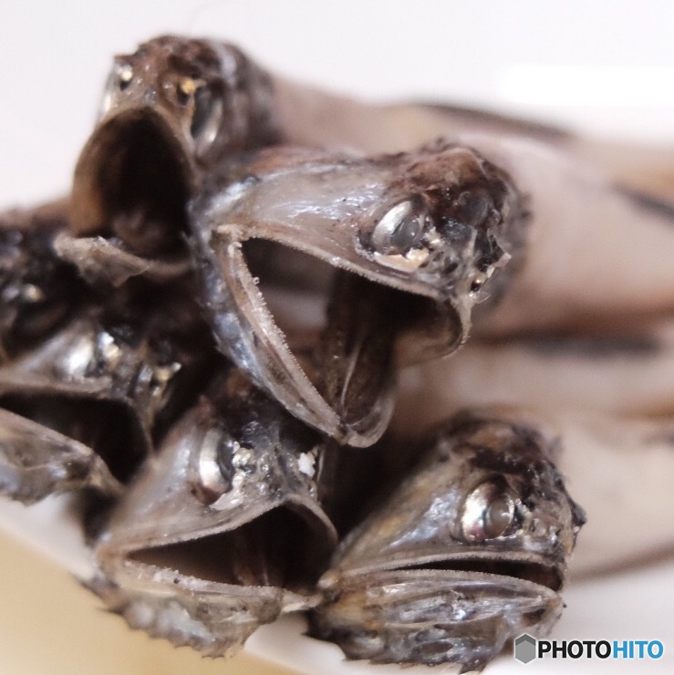 オラオラ〜\(//∇//)\