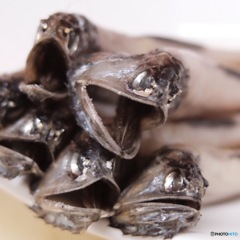 オラオラ〜\(//∇//)\