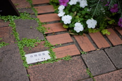 そんな所から言われても(｡-_-｡)