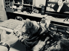 お手〜〜