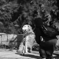 犬もいいな〜〜(^o^)