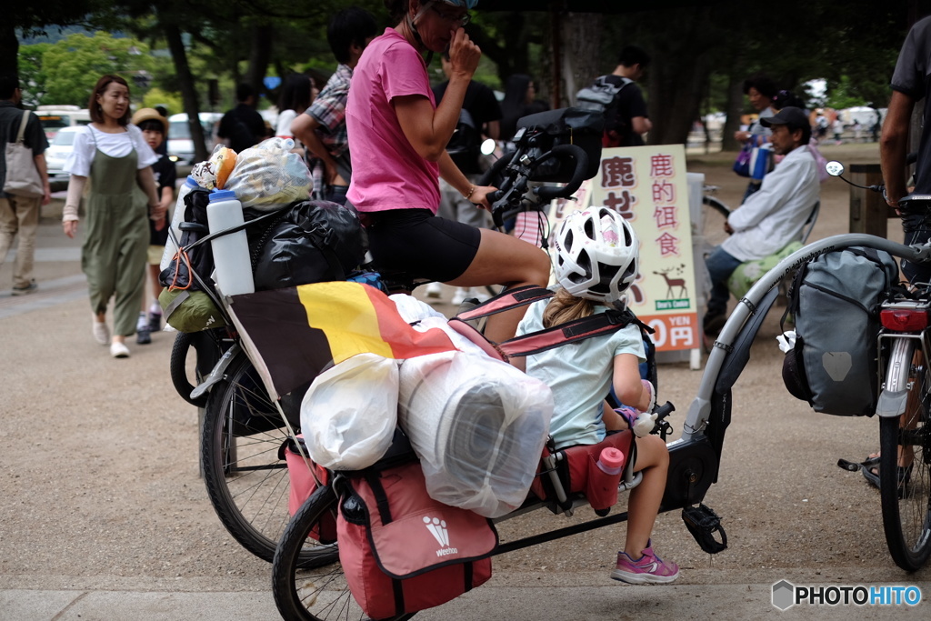 ワイルドです。