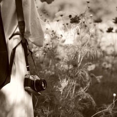 こちらはCanon-AE-１