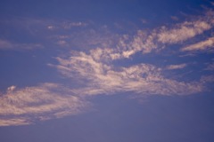 焼けてる上空に鳥？焼き鳥か〜（≧∇≦）