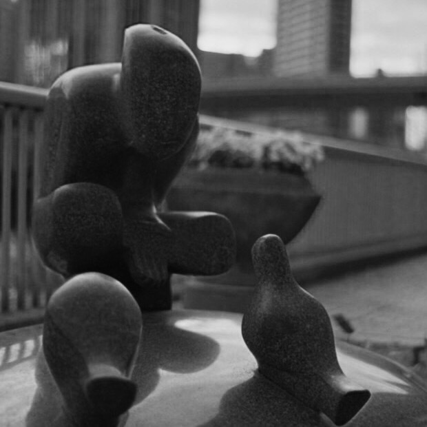 少年と鳩