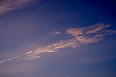 焼けてる上空に深海魚が〜〜（≧∇≦）