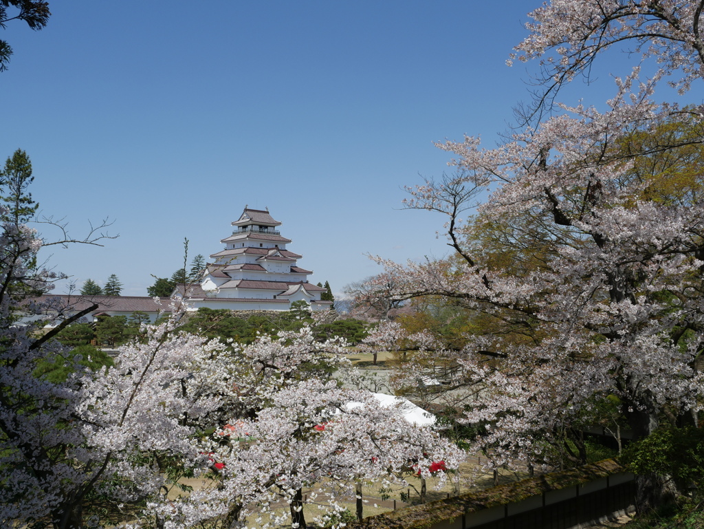 鶴ヶ城２