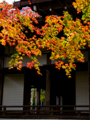 三千院