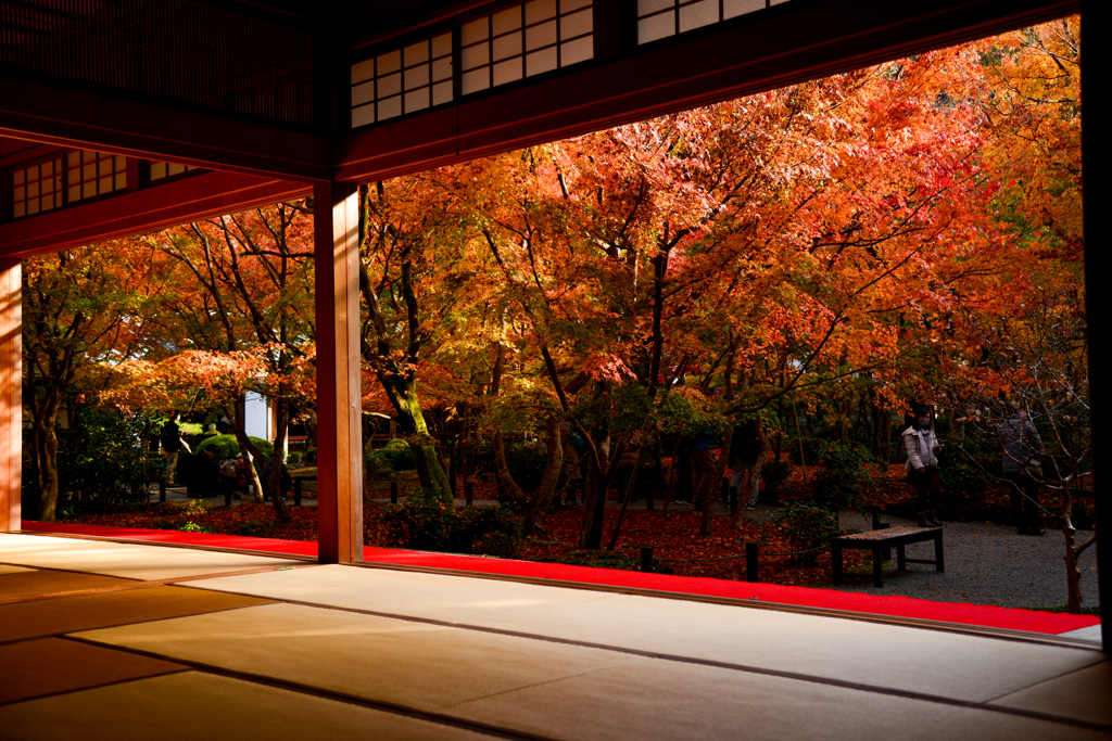圓光寺