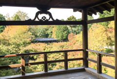 京都…今頃紅葉してんだろうなー