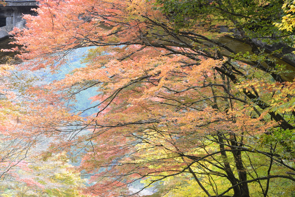 白井平橋
