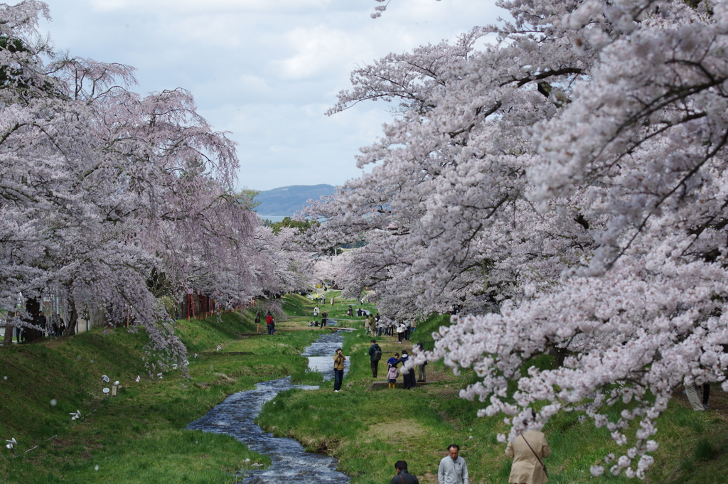 観音寺川