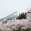 磐梯山と桜