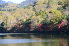 湯ノ湖