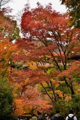 清水寺