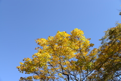 金精峠