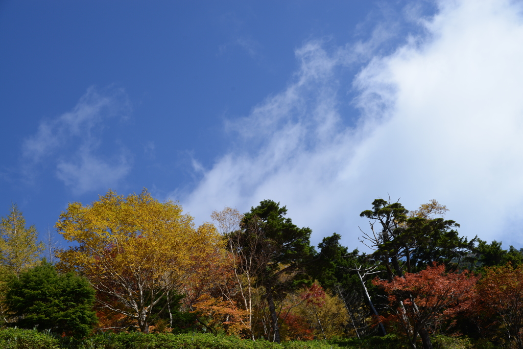 金精峠