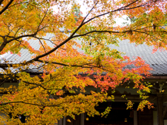 大原三千院