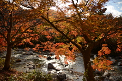 一の鳥居