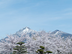 会津磐梯山