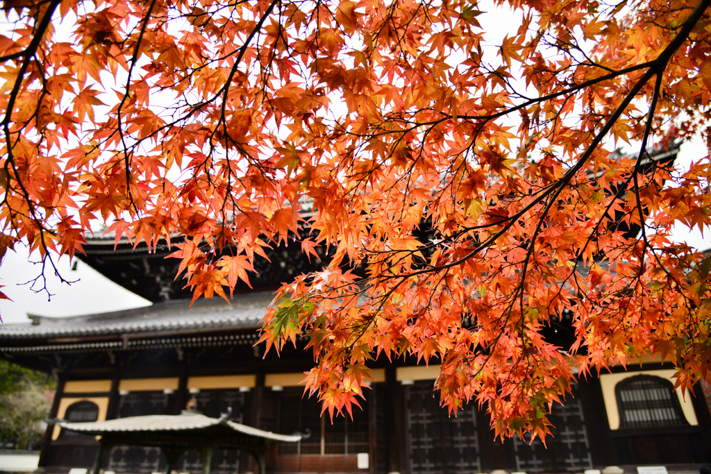 南禅寺