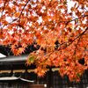 南禅寺