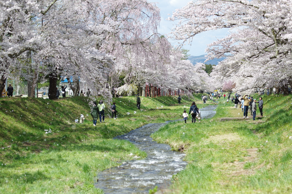 観音寺川