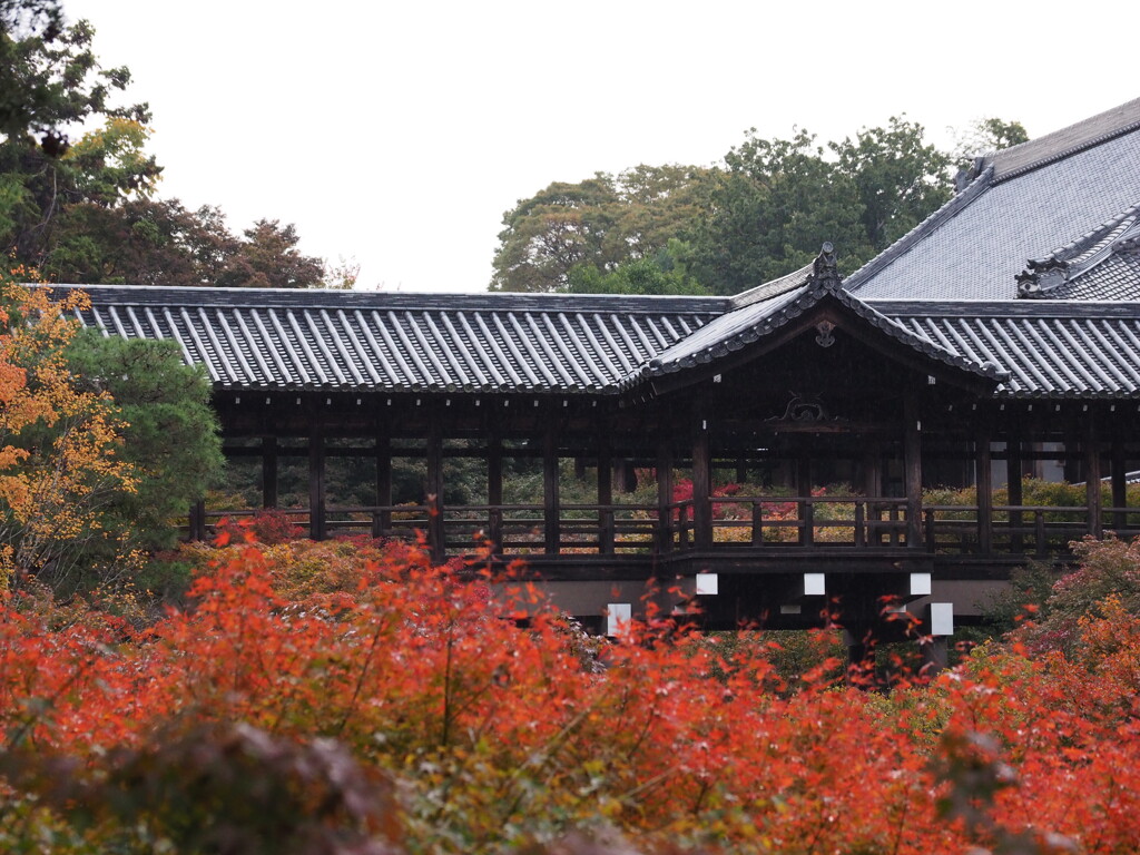 通天橋