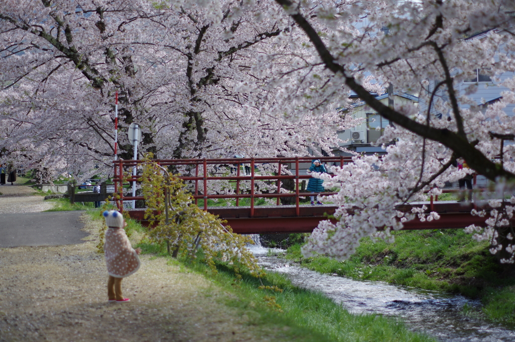 観音寺川
