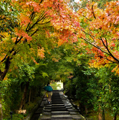 高台寺