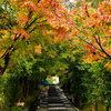 高台寺