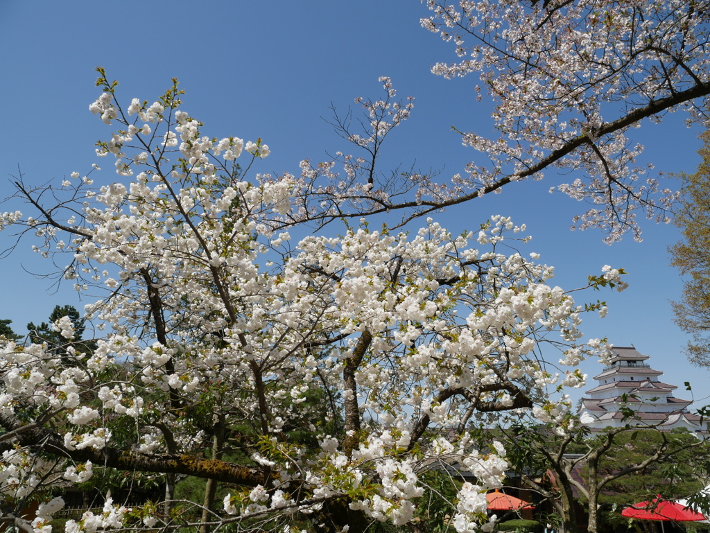 鶴ヶ城３