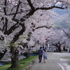 観音寺川