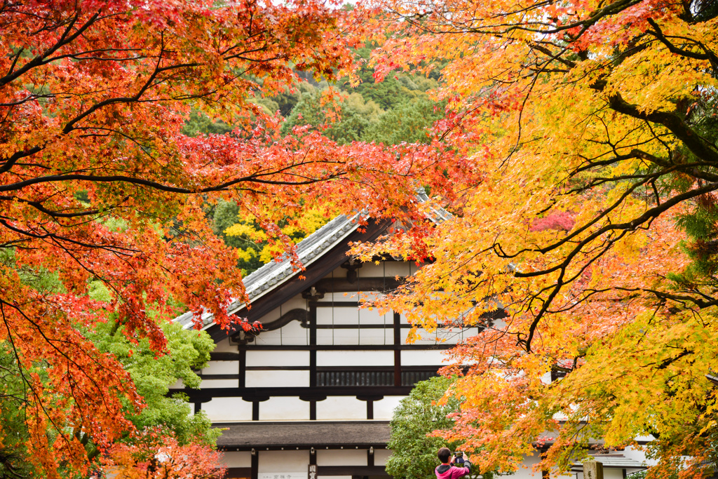 南禅寺