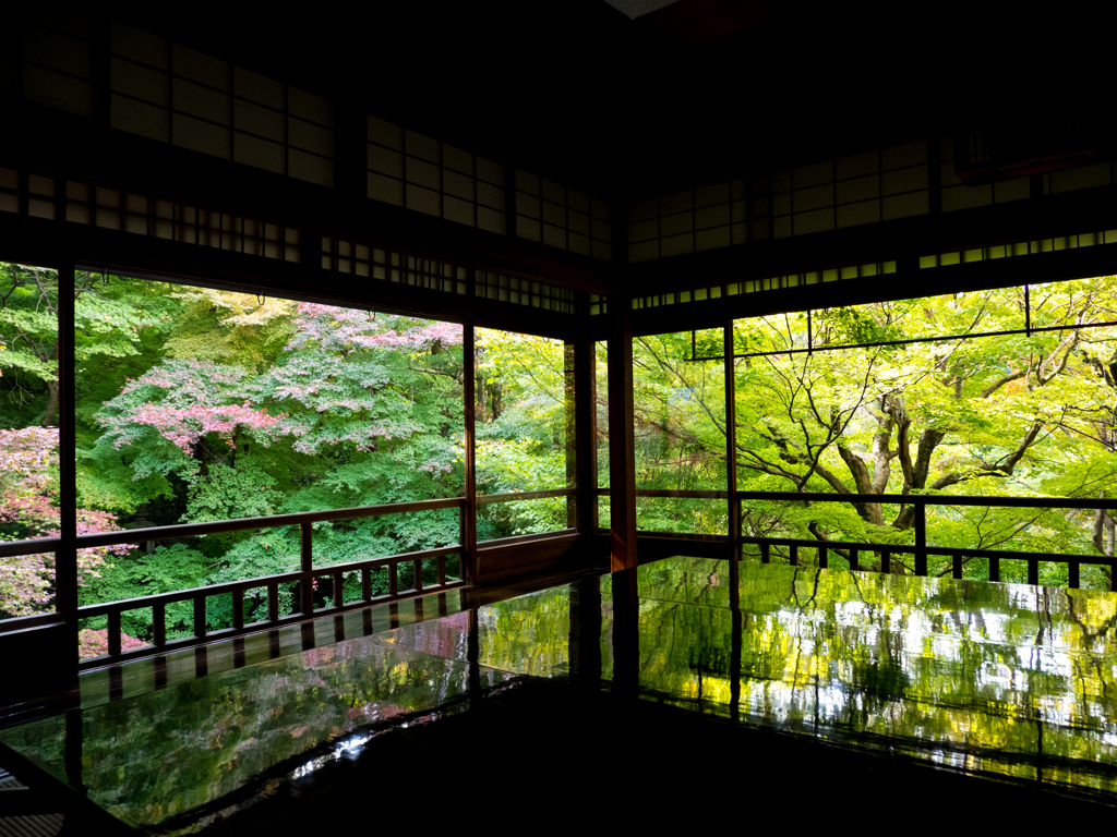 瑠璃光院