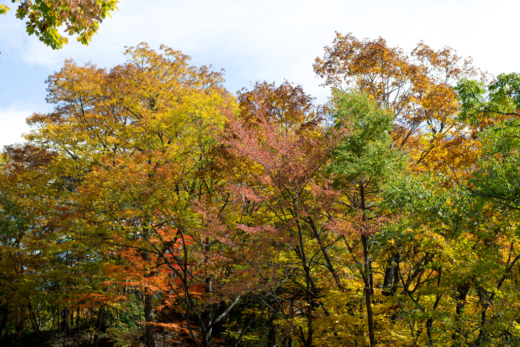 中禅寺湖の紅葉